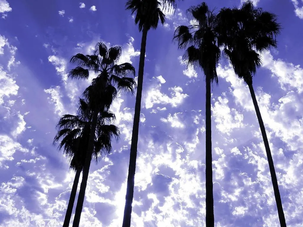 Parker Palm Springs Hotel